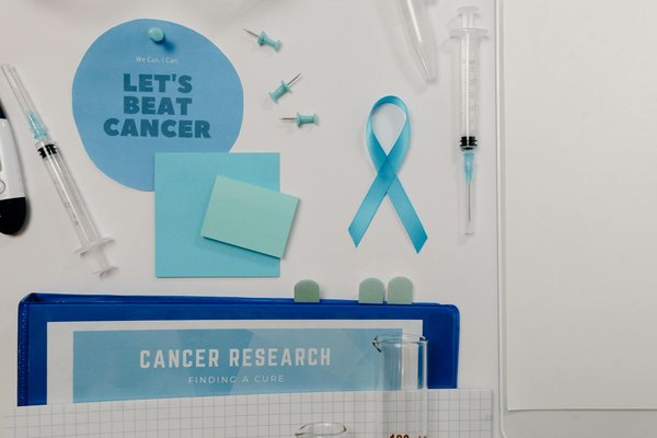 Les meilleurs aliments pour un régime minceur